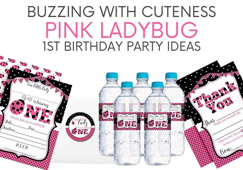 Buzzing with Cuteness: Pink Ladybug 1st Birthday Party Supplies!