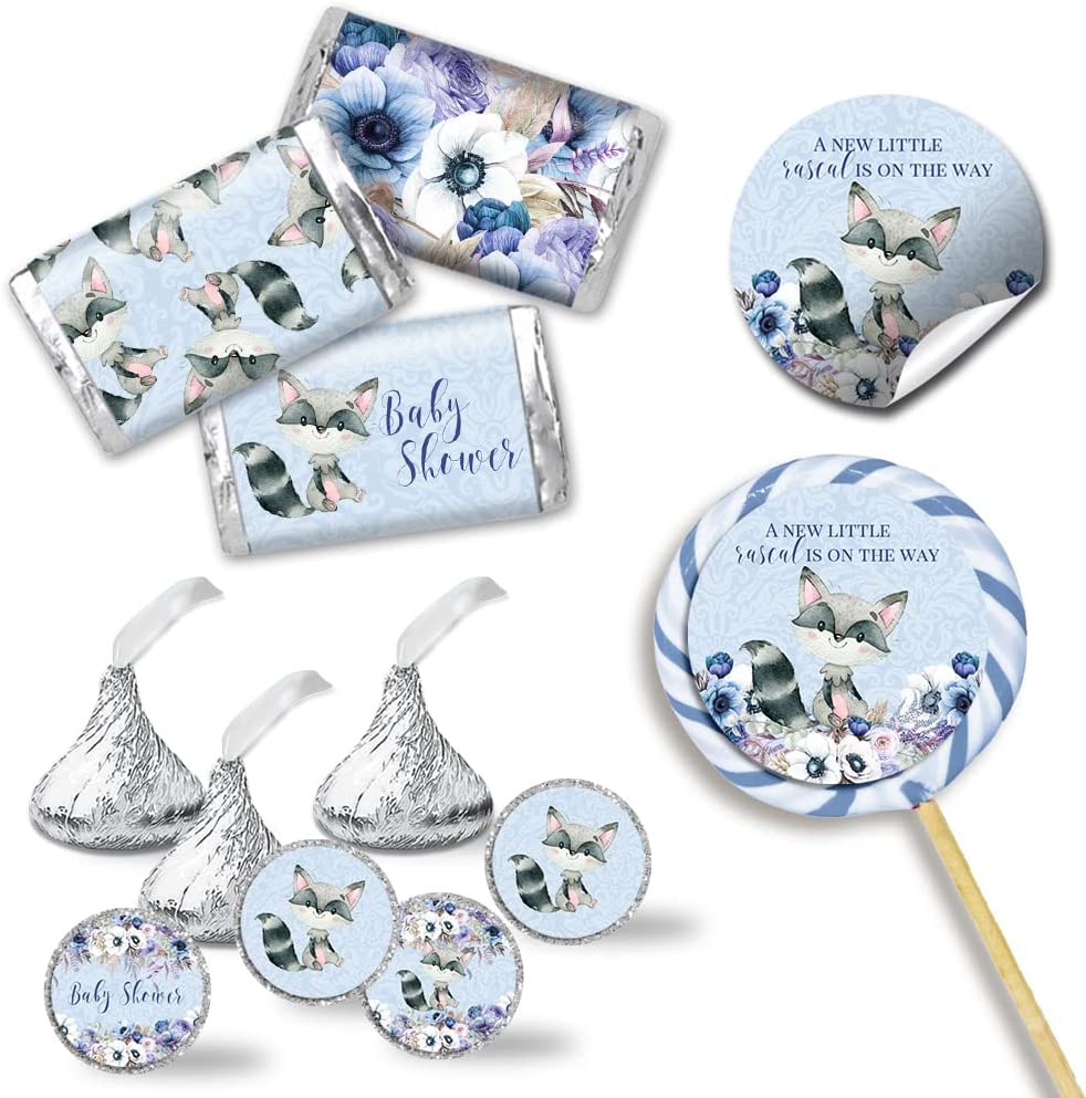 Little Rascal Cute Raccoon blue Baby Shower Sticker Bundle – Amanda ...