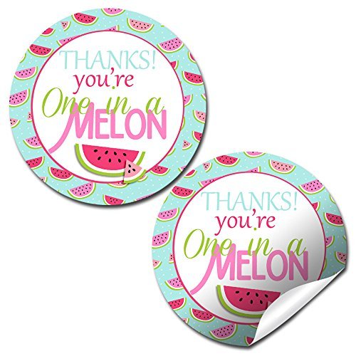 One In A Melon Stickers