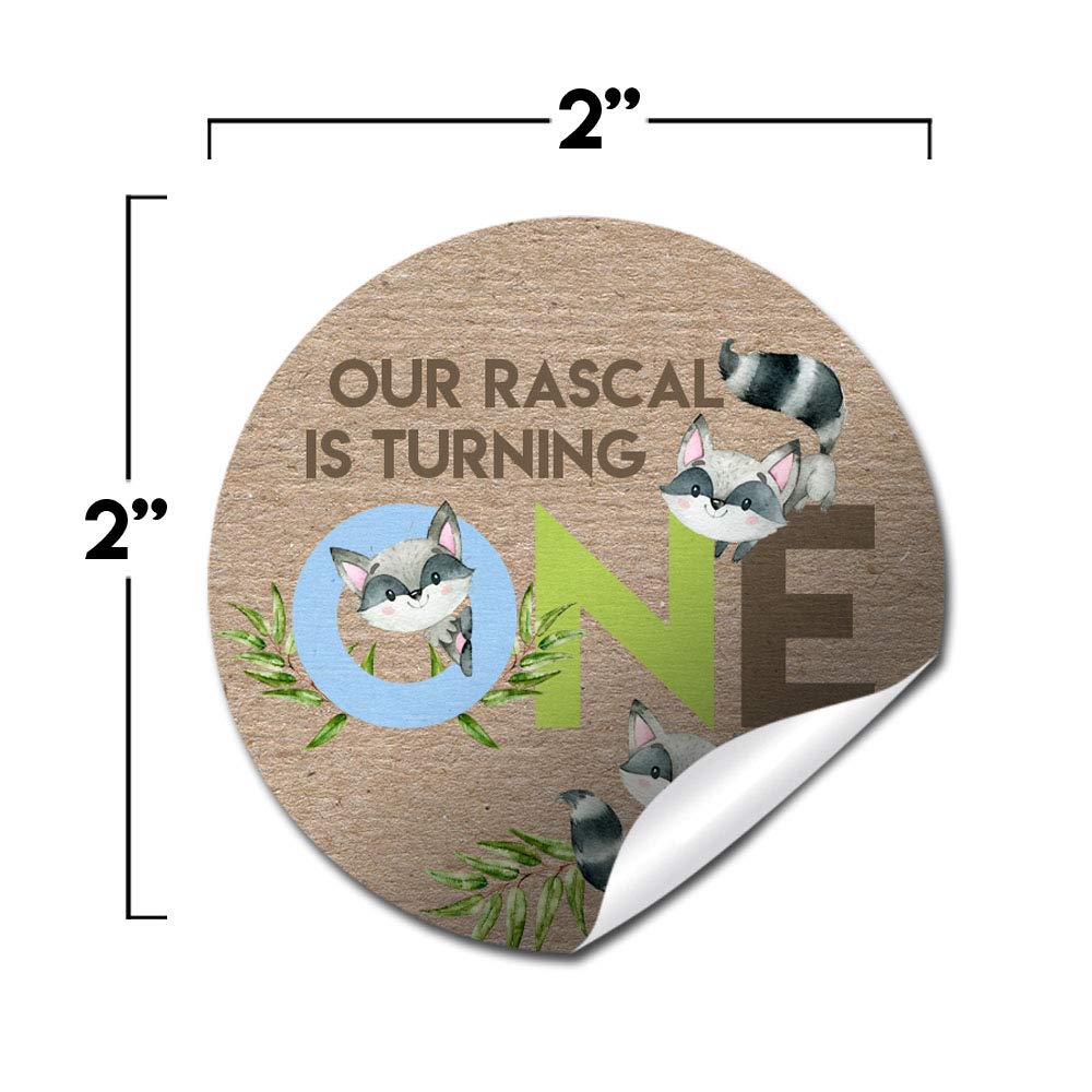 Rascal Stickers Our Little Rascal Raccoon 1st Birthday Party Favor Stickers – Amanda ...