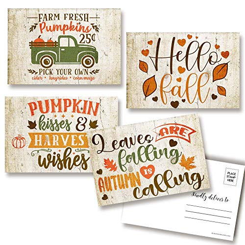 Rustic Pumpkins Blank Postcards